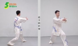 太极一章教学视频,入门基础动作解析与技巧讲解